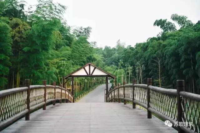 1522810217106245.jpg 19.jpg