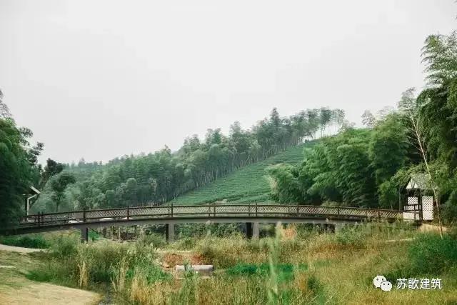 1522810285748839.jpg 23.jpg