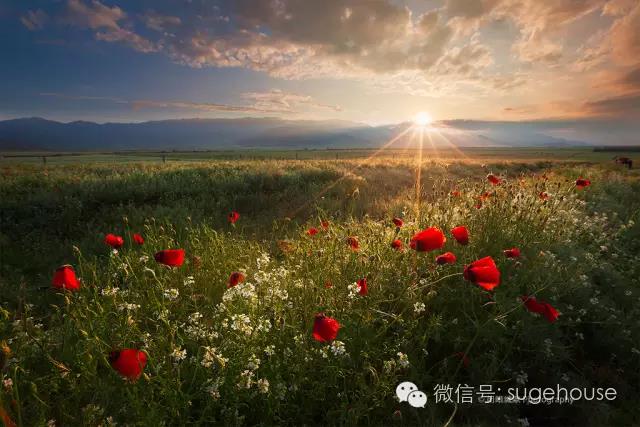 1522826352858354.jpg 1.jpg