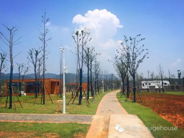 1522826499916060.jpg 13.jpg