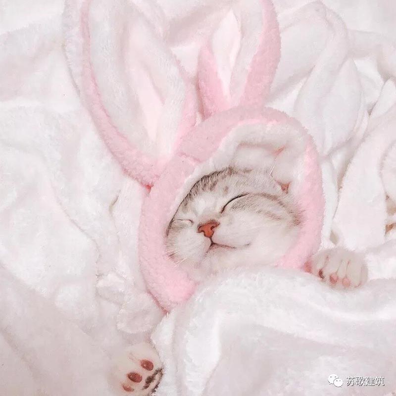 1537519142174838.jpg 1.jpg